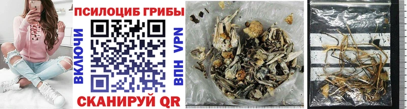 OMG   Покров  Галлюциногенные грибы GOLDEN TEACHER 